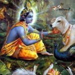 Krishna, play, cow