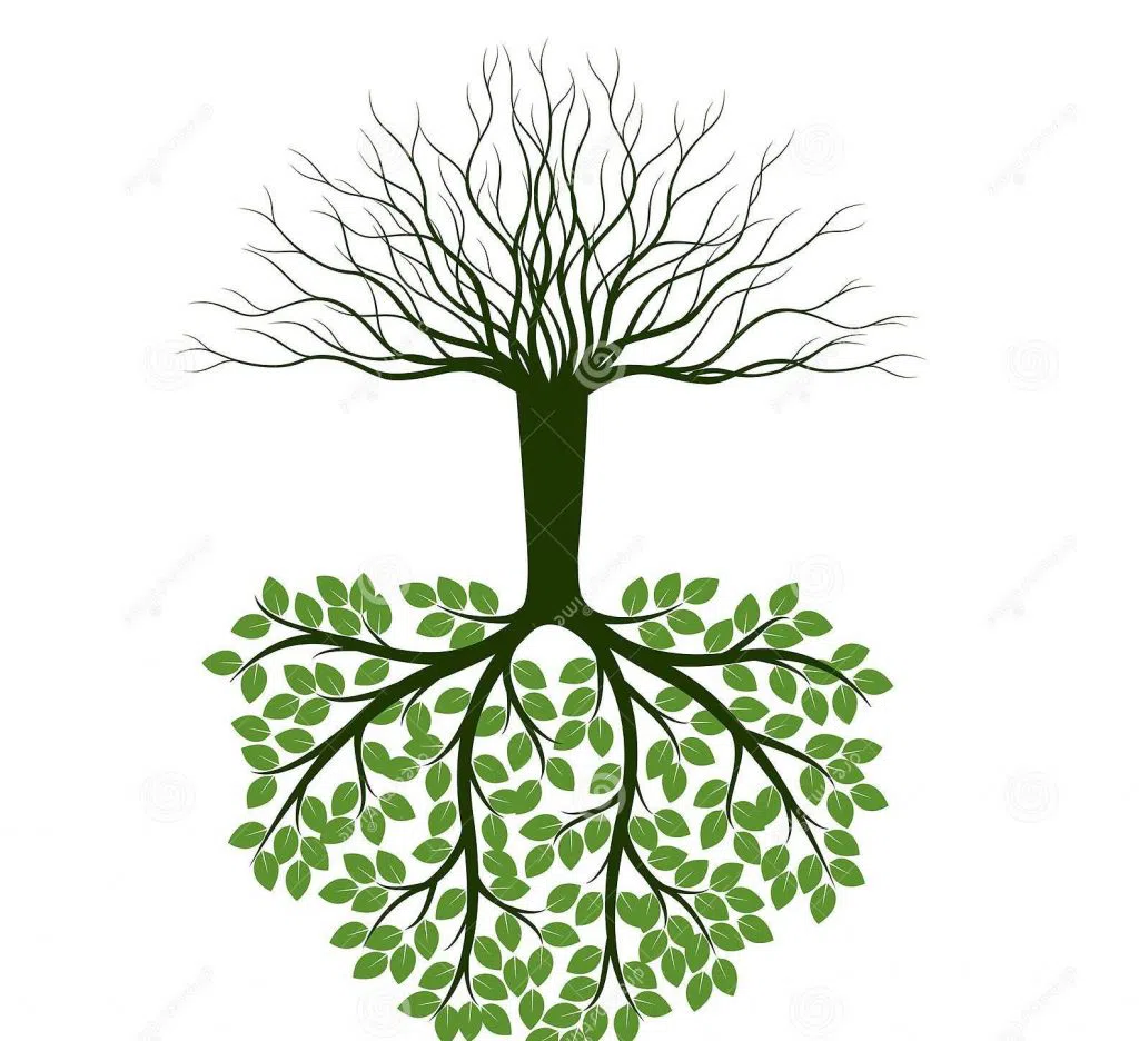green-spring-tree-roots
