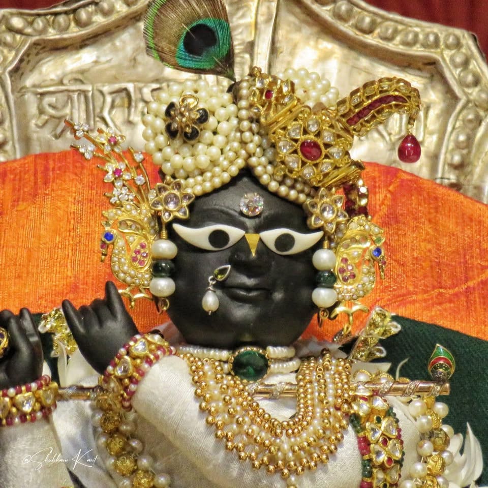 Sri Sri Radha-Ramana Devaji Appearance