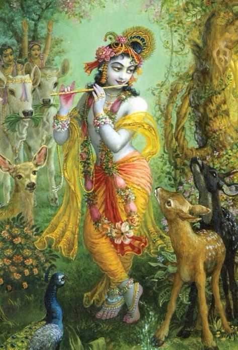 Why God name is Krishna?