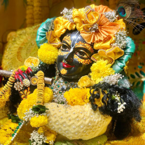 WhatsApp Image 2026-01-23 at 3.27.46 PM