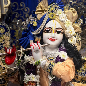 WhatsApp Image 2026-01-23 at 3.32.40 PM