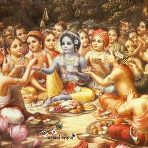 Does Krishna fulfills material desires of his devotees?