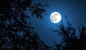 Moon is the source of food grains.
